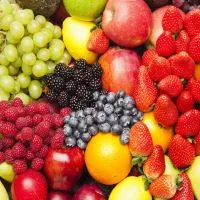 Hortenzia Garden kertészeti áruda és webáruház