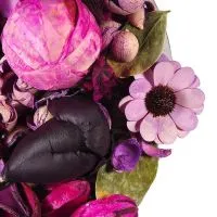 Hortenzia Garden kertészeti áruda és webáruház