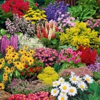 Hortenzia Garden kertészeti áruda és webáruház