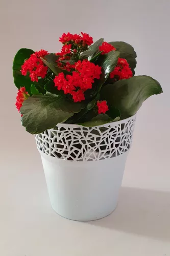 Csipkemintás virágkaspó - jégkék - 14,5 cm