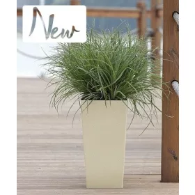 Nagy méretű ECO virágkaspó 2in1 - Krém