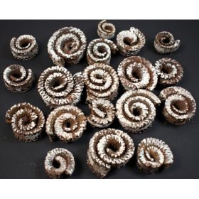 Kosszarv - felezett - havas