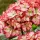 Kerti hortenzia - Hydrangea macrophylla Royalty Collection " Beauty of Boscoop" K5