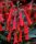 Folyóharang - Phygelius rectus "Candy Drops Red"
