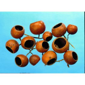 Bell cup - mini - natúr