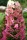 Tölgylevelű hortenzia - Hydrangea quercifolia " Jetstream"