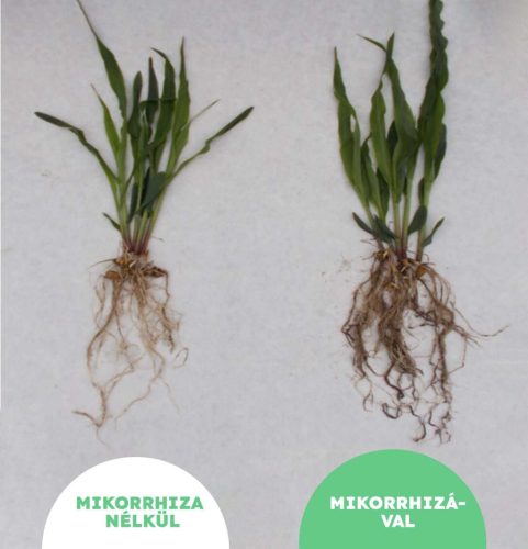 MikoMax Garden mikorrhiza készítmény 360 g