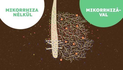 MikoMax Garden mikorrhiza készítmény 360 g