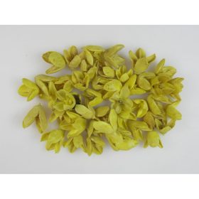 Bakuli - fehérített - sárga