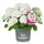 Kerti hortenzia - Hydrangea macrophylla "Everbloom White Wonder" K5