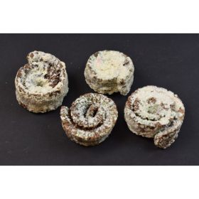 Kosszarv - felezett - glitteres gyöngyház