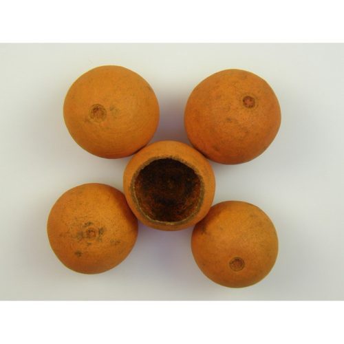 Bell cup - 4-5 cm - narancs