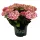Kerti hortenzia - Hydrangea macrophylla Black Diamonds "Midnight Beauty Purple