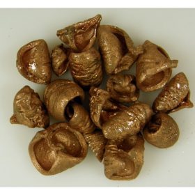 Lali bronz & glitter