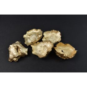 Kókusz virág - pezsgő