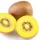 Aranyhúsú kivi - Actinidia deliciosa Gold Kiwi Female