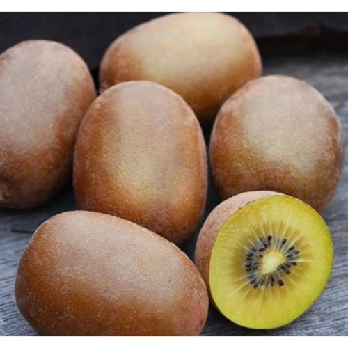 Aranyhúsú kivi - Actinidia deliciosa Gold Kiwi Female