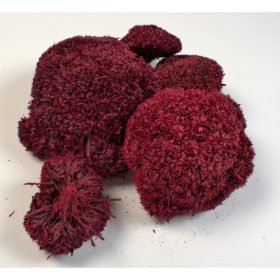 Buksi virág - piros