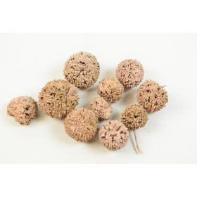 Ámbrafa termés - falfestékes - barack