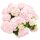 Kerti hortenzia - Hydrangea macrophylla Music Collection "Soft Pink Salsa" K5