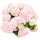 Kerti hortenzia - Hydrangea macrophylla Music Collection "Soft Pink Salsa" K2