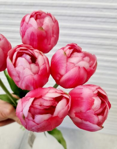 Telt virágú élethű tulipán - sötét rózsaszín- 40 cm