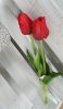 Élethű tulipán - piros - 45 cm