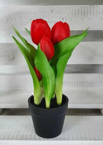 Élethű tulipán cserépben - piros