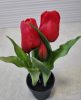 Élethű tulipán cserépben - piros