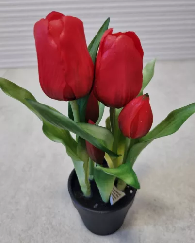 Élethű tulipán cserépben - piros