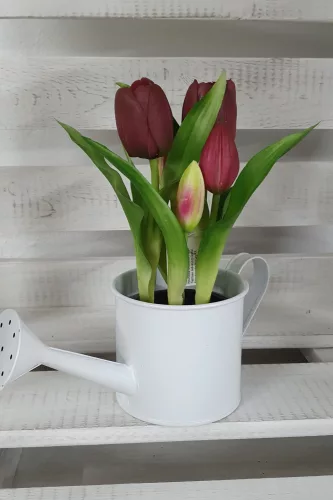 Élethű tulipán cserépben - bordó