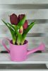 Élethű tulipán cserépben - bordó