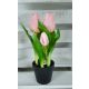 Élethű tulipán cserépben - rózsaszín