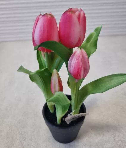 Élethű tulipán cserépben - sötét rózsaszín