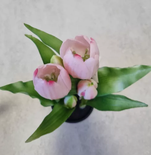 Élethű tulipán cserépben - világosrózsaszín