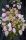 Japán kúszó hortenzia rózsaszín - Schizophragma hydrangeoides ‘Roseum’