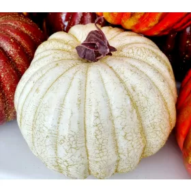 Dekor tök - fehér