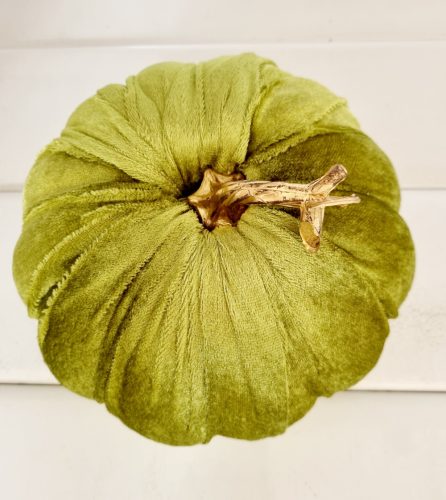 Bársony tök dekoráció - nagy - zöld