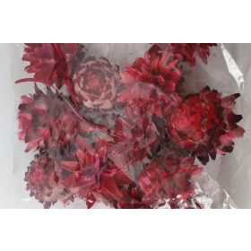 plumosum festett, piros