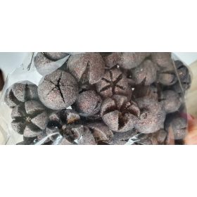 korona száraz termés, festett, bronz/glitter