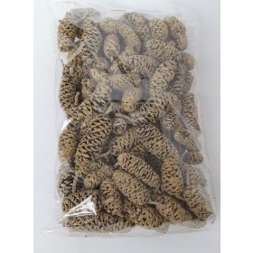 Éger termés, színezett, Arany/glitter