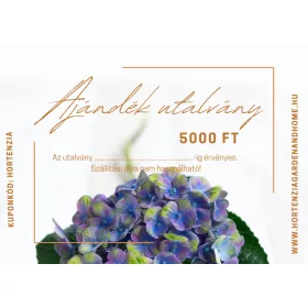 Ajándék utalvány - 5000